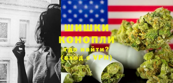 молекула духа Михайлов