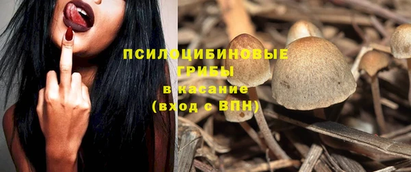 дурь Михайловск