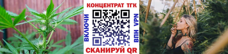 Дистиллят ТГК гашишное масло  блэк спрут ссылки  Рошаль 